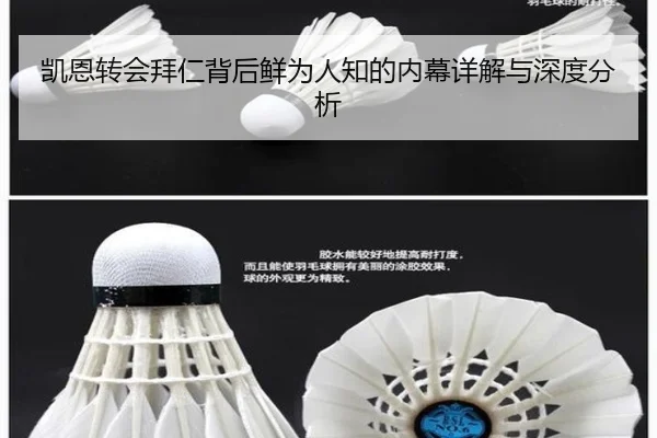 凯恩转会拜仁背后鲜为人知的内幕详解与深度分析